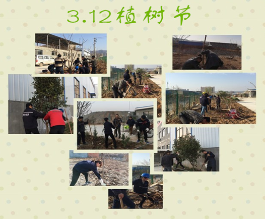 寶雞捷銳“迎春風(fēng)，綠家園”植樹節(jié)(圖3)
